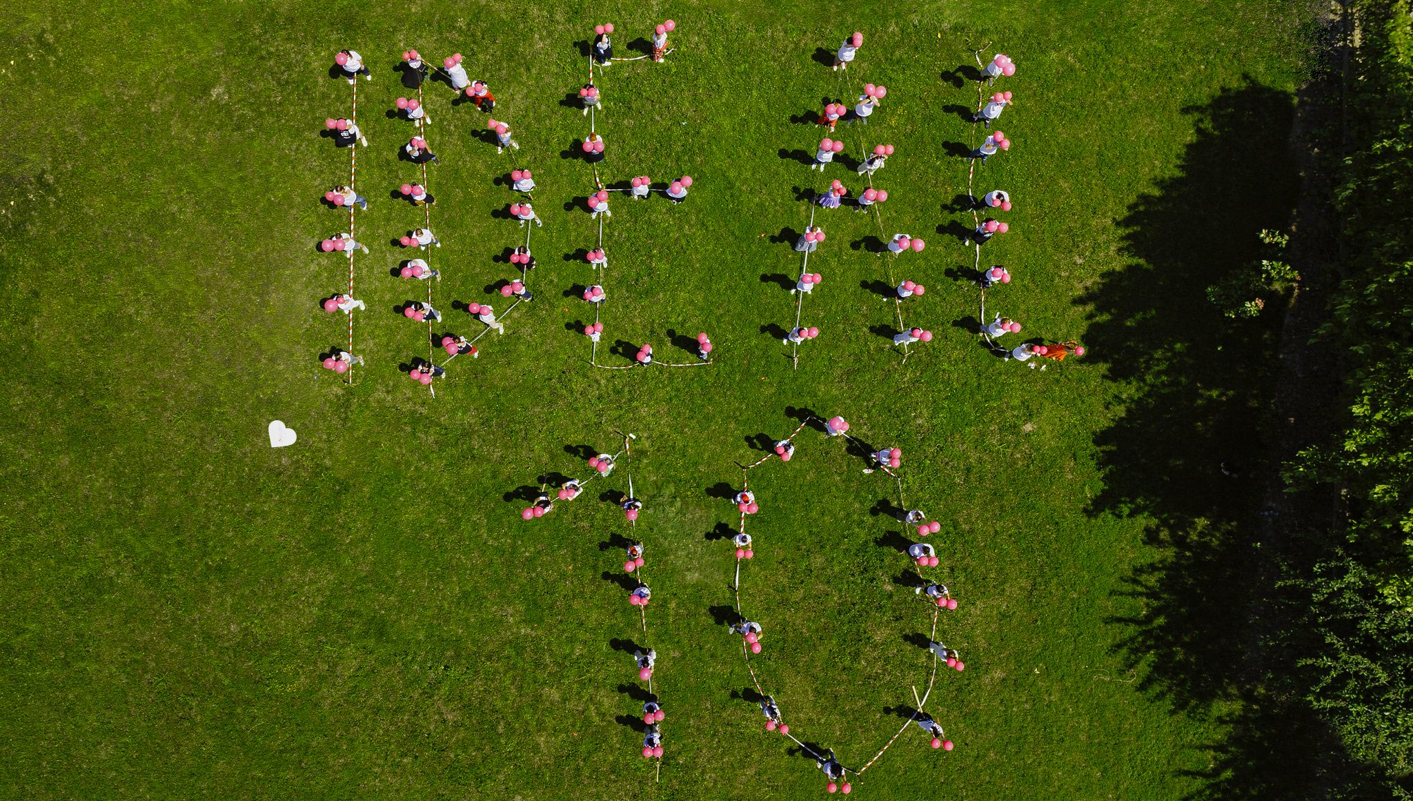 De 10 ani, Edenred crește comunități. Ediția aniversară Ideal Day a reunit voluntariat, gastronomie sustenabilă și 1.000 de răsaduri plantate alături de copii