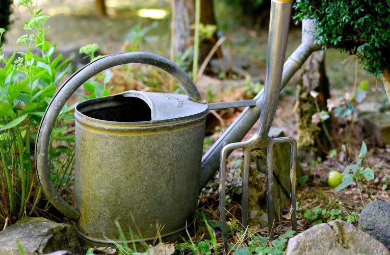 Două lucruri pe care orice grădinar trebuie să le aibă în iunie. Recomandările experților în fauna sălbatică