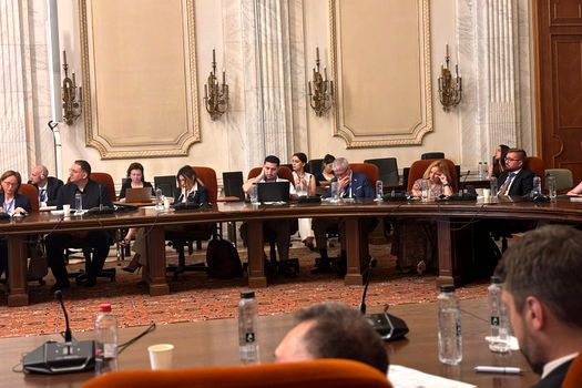 Drumul spre Ankara. Prioritățile Flancului Estic. Pauliuc: „Cu cât Marea Neagră este mai sigură, cu atât Europa este mai sigură”
