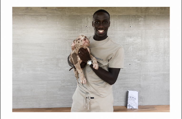 Ferland Mendy de la Real Madrid, judecat în Spania după ce unul dintre câinii săi ar fi mușcat un adolescent