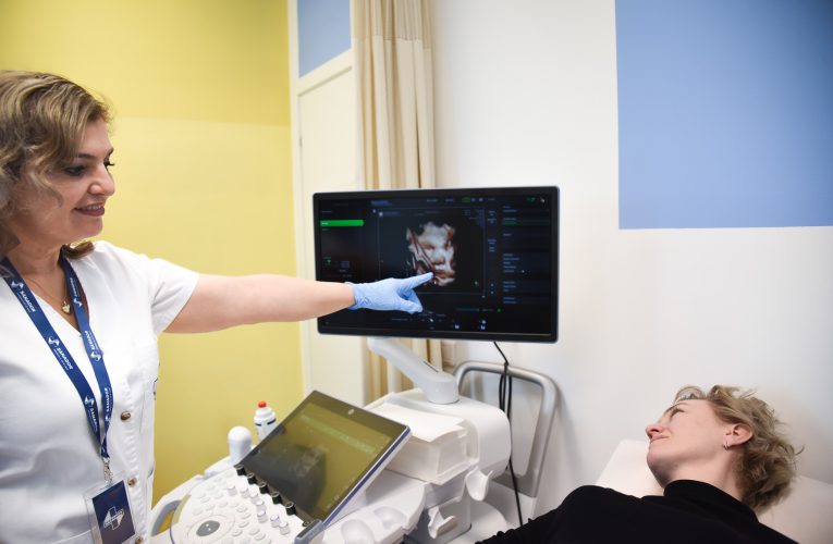 FIV, între decizie medicală și acces responsabil la tratament (P)