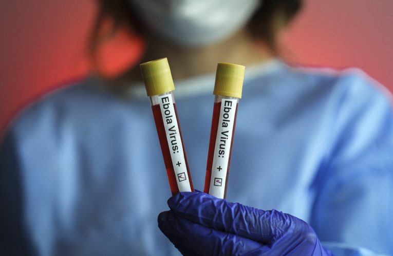 Franța confirmă primul caz de Ebola după întoarcerea unui medic din Congo
