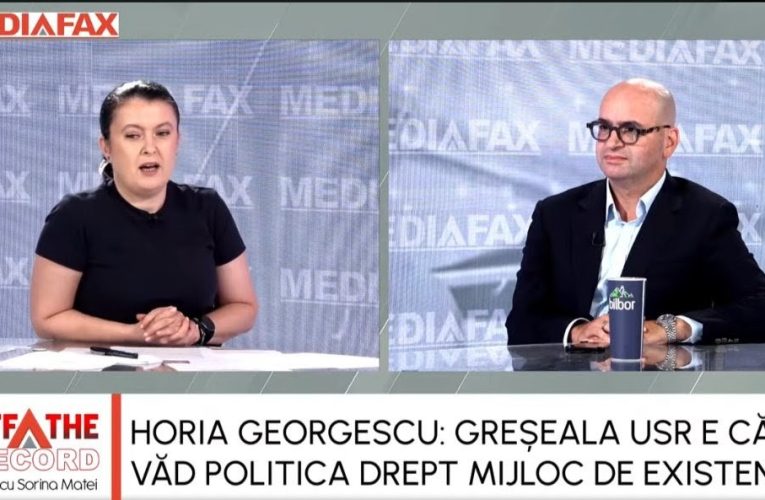 Greșeala USR este că vede politica drept un mijloc de existență, spune fostul președinte ANI