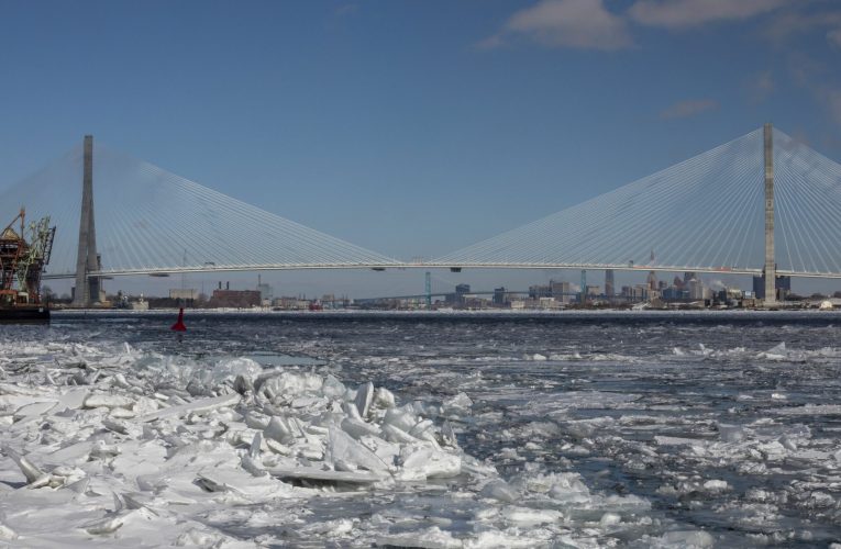 Inaugurarea noului pod dintre Canada și SUA, amânată pe termen nedeterminat. Proiect de peste 3 miliarde de euro