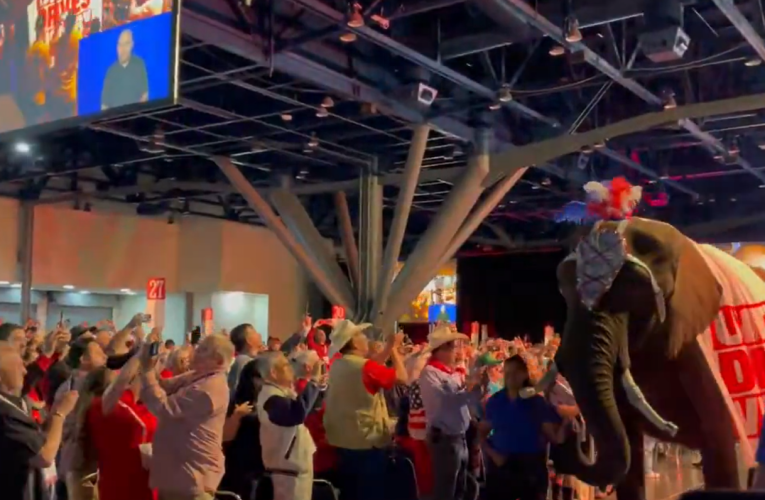Incident la congresul Partidului Republican din Texas. Un elefant a urinat în sală și a alimentat teoria conspirației