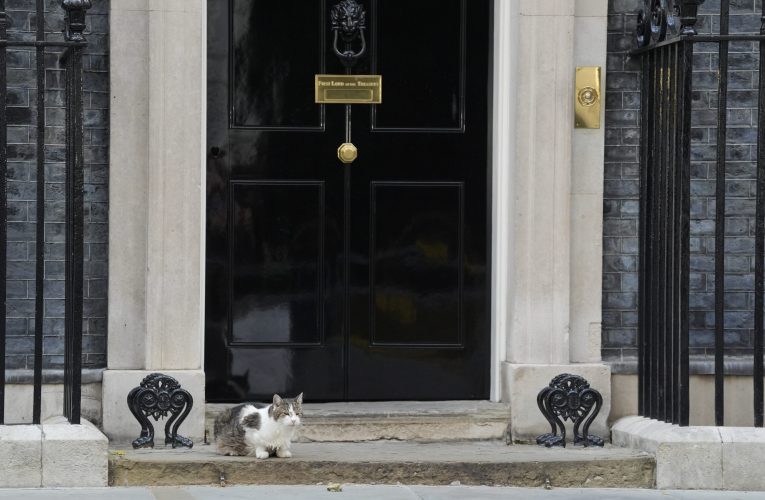 Mai rezistent decât premierii britanici. Larry, motanul de la Downing Street, bifează încă un mandat