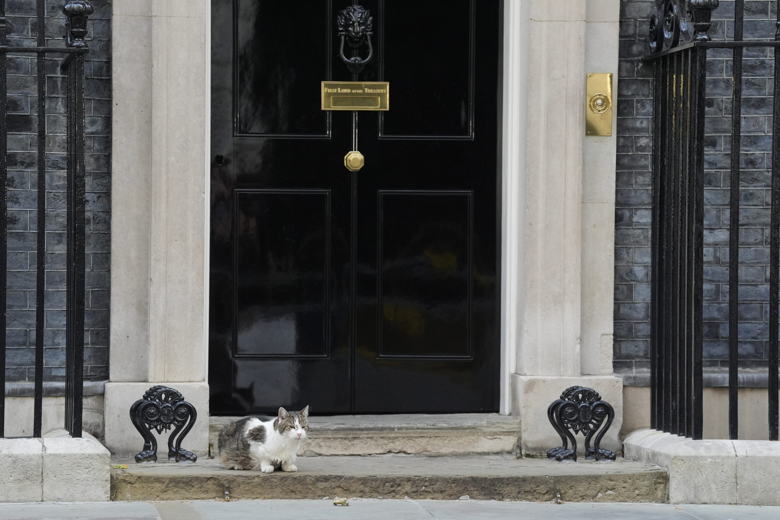 Mai rezistent decât premierii britanici. Larry, motanul de la Downing Street, bifează încă un mandat