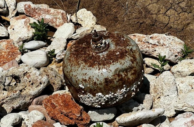 Mină marină descoperită la Vama Veche. Intervenție de urgență a Forțelor Navale Române