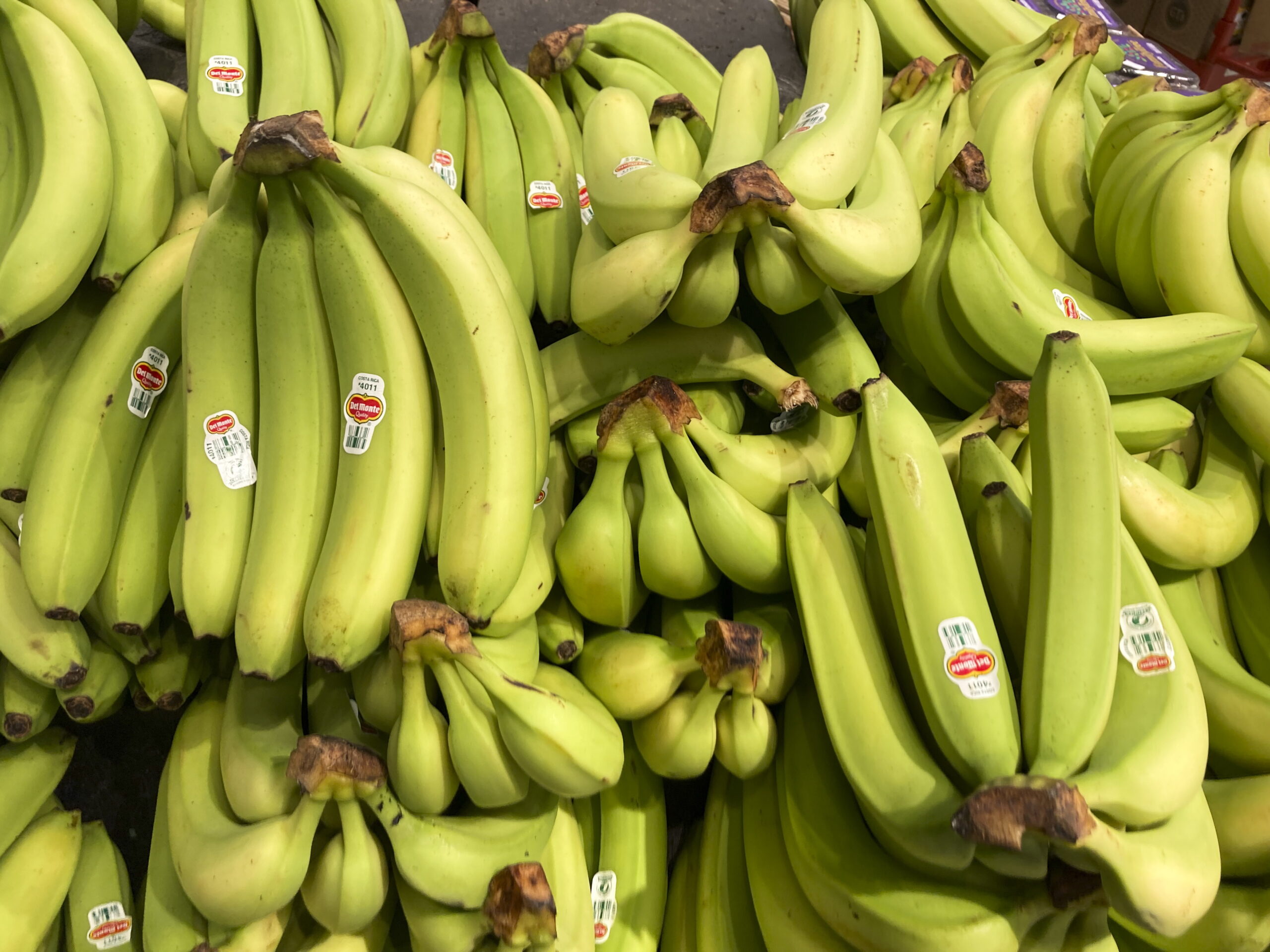 O banană de milioane de dolari a fost furată dintr-un muzeu din Franța. Povestea celebrei opere de artă