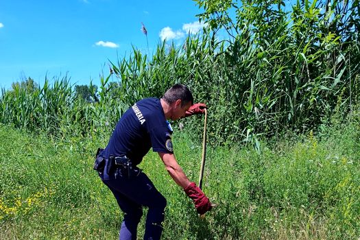 O femeie din Argeș a găsit un șarpe în bucătărie. Ce trebuie făcut într-o astfel de situație?