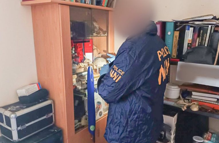 Odioasa poveste a unui canibal angajat la un spital din Budapesta / Împătimit colecționar (și consumator!) de părți anatomice umane