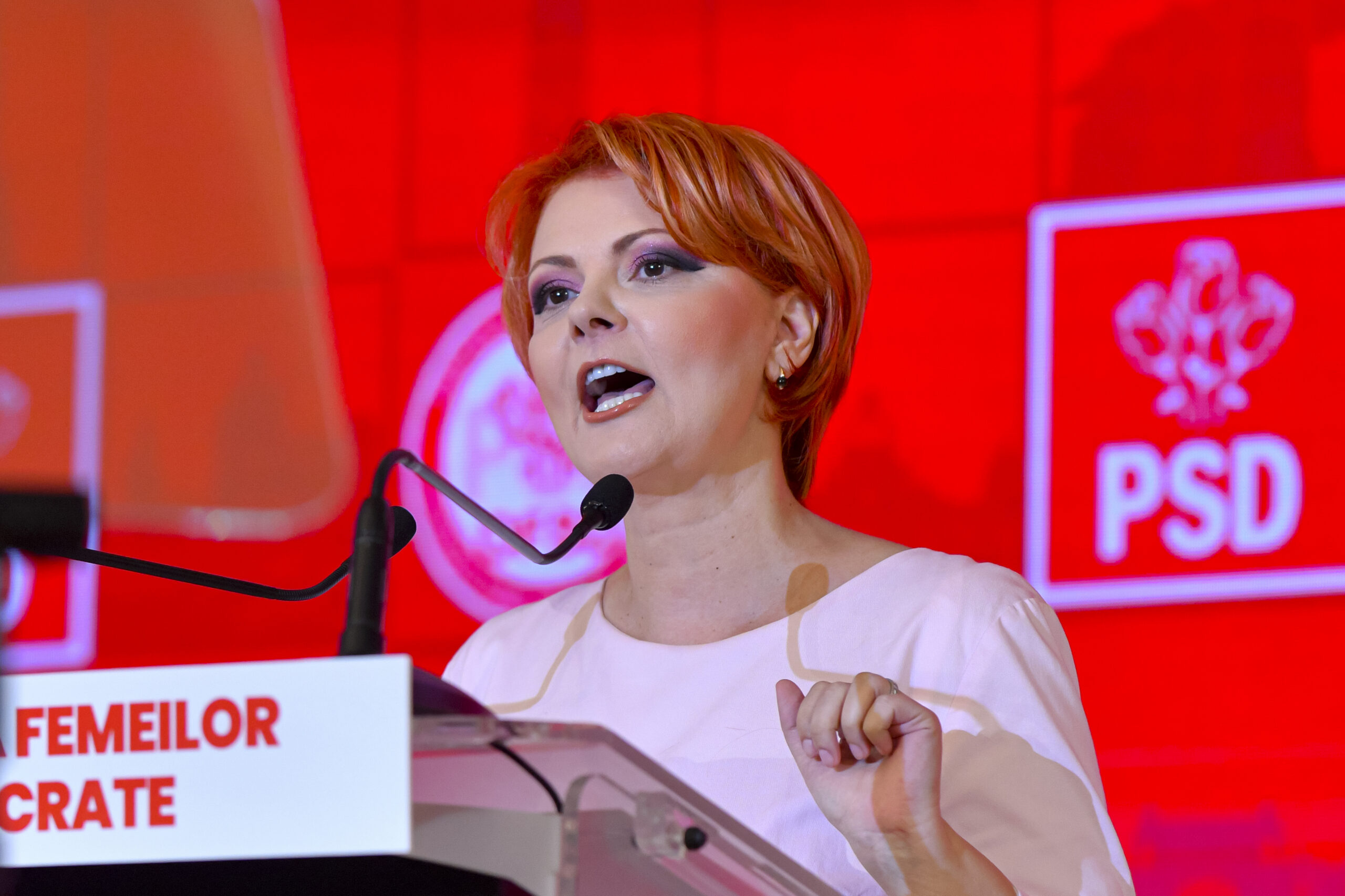 Olguța Vasilescu, despre Siegfried: „Românii o să-și scrântească limba până îi pronunță numele”