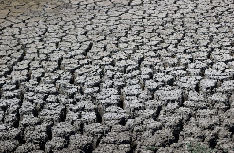 Peste 100 de milioane de oameni riscă foametea. Experții indică două cauze majore: El Niño și războiul din Iran
