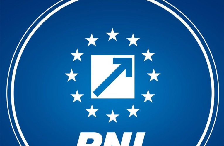 PNL: Puciștii continuă ofensiva împotriva propriului partid