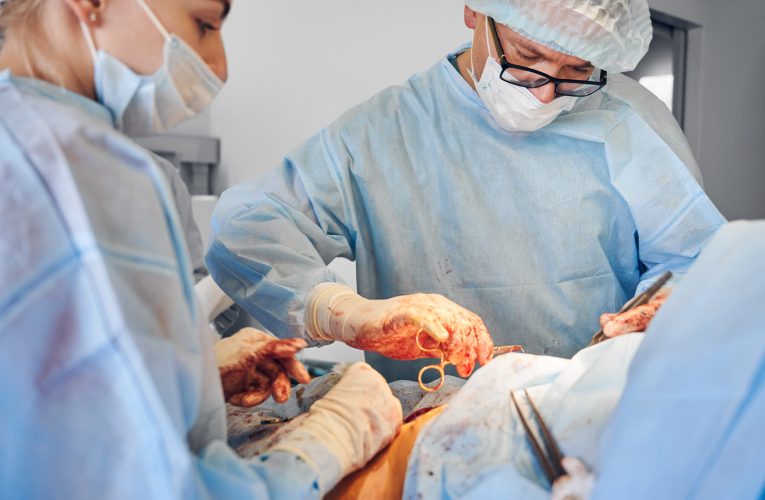 Premieră mondială: un om a primit trei organe de porc
