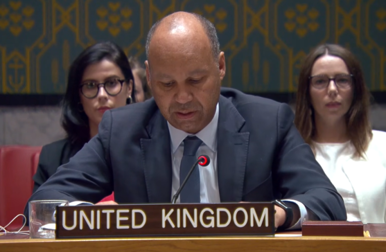 Reprezentantul Marii Britanii la ONU: Suntem alături de Ucraina, România și toți aliații noștri din NATO