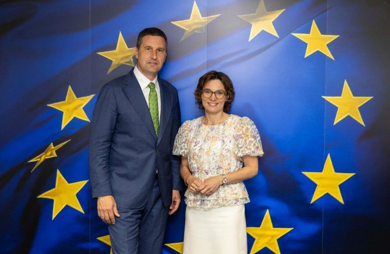 România cere la Bruxelles schimbarea statutului ursului brun