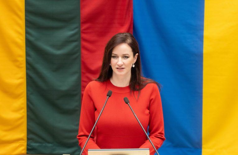 Schimbare la vârful guvernului din Lituania: Premierul țării va fi înlocuit de liderul partidului de guvernământ