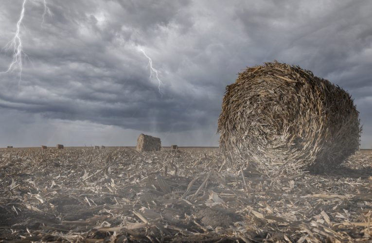 „Super El Niño” ar putea provoca fenomene meteo extreme