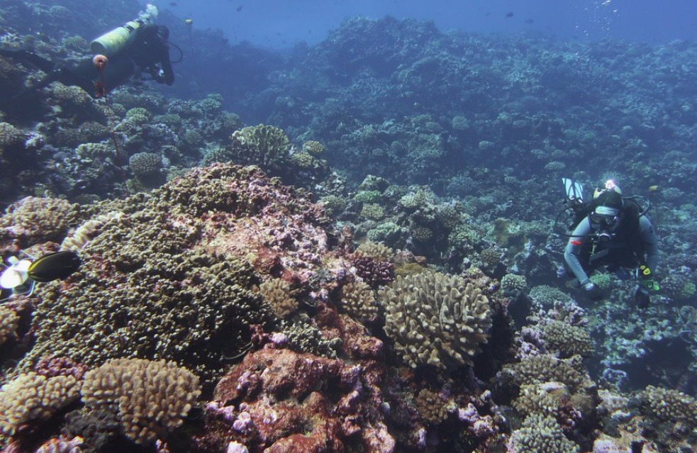Țările din Africa și Commonwealth cer punerea în aplicare a unui tratat privind protejarea oceanelor