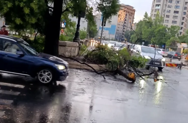 UPDATE: Nou Cod portocaliu de vijelie și grindină în București. RO-ALERT de furtună extremă: rafale de 80 km/h, ploi torențiale și grindină. „Evitați deplasările!”