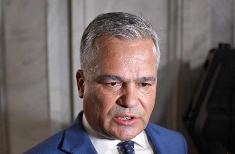 Veștea, întrebat dacă Nicușor Dan știe că a discutat cu AUR: Am mandat de a alcătui un guvern