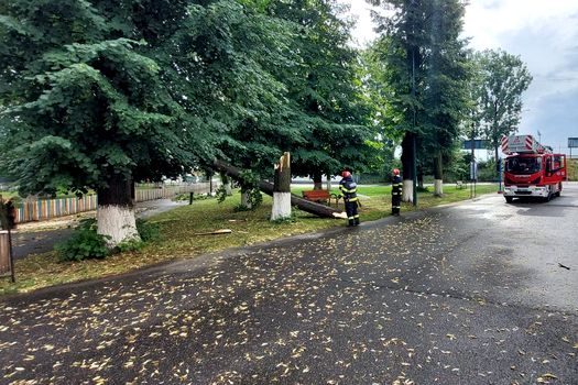 Zeci de locuințe inundate, mașini avariate și copaci doborâți de vijeliile din ultimele ore