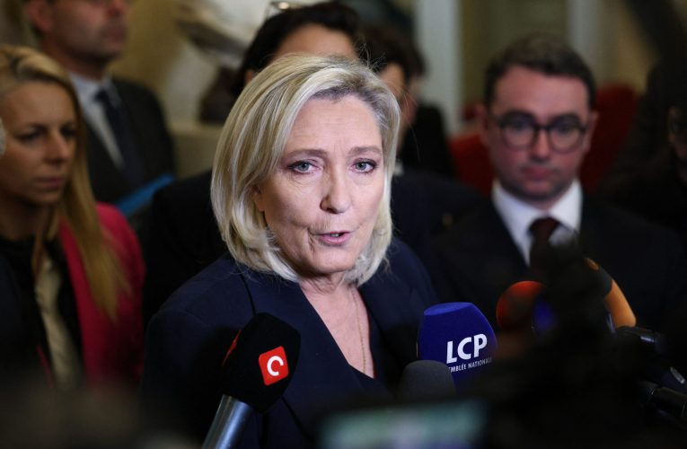 Anunțul momentului. Lidera extremei drepte franceze a anunțat că va candida la alegerile prezidențiale din 2027