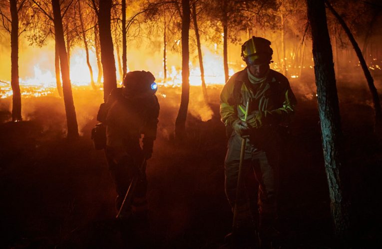Atenționare de călătorie în SUA din cauza unor incendii de vegetație