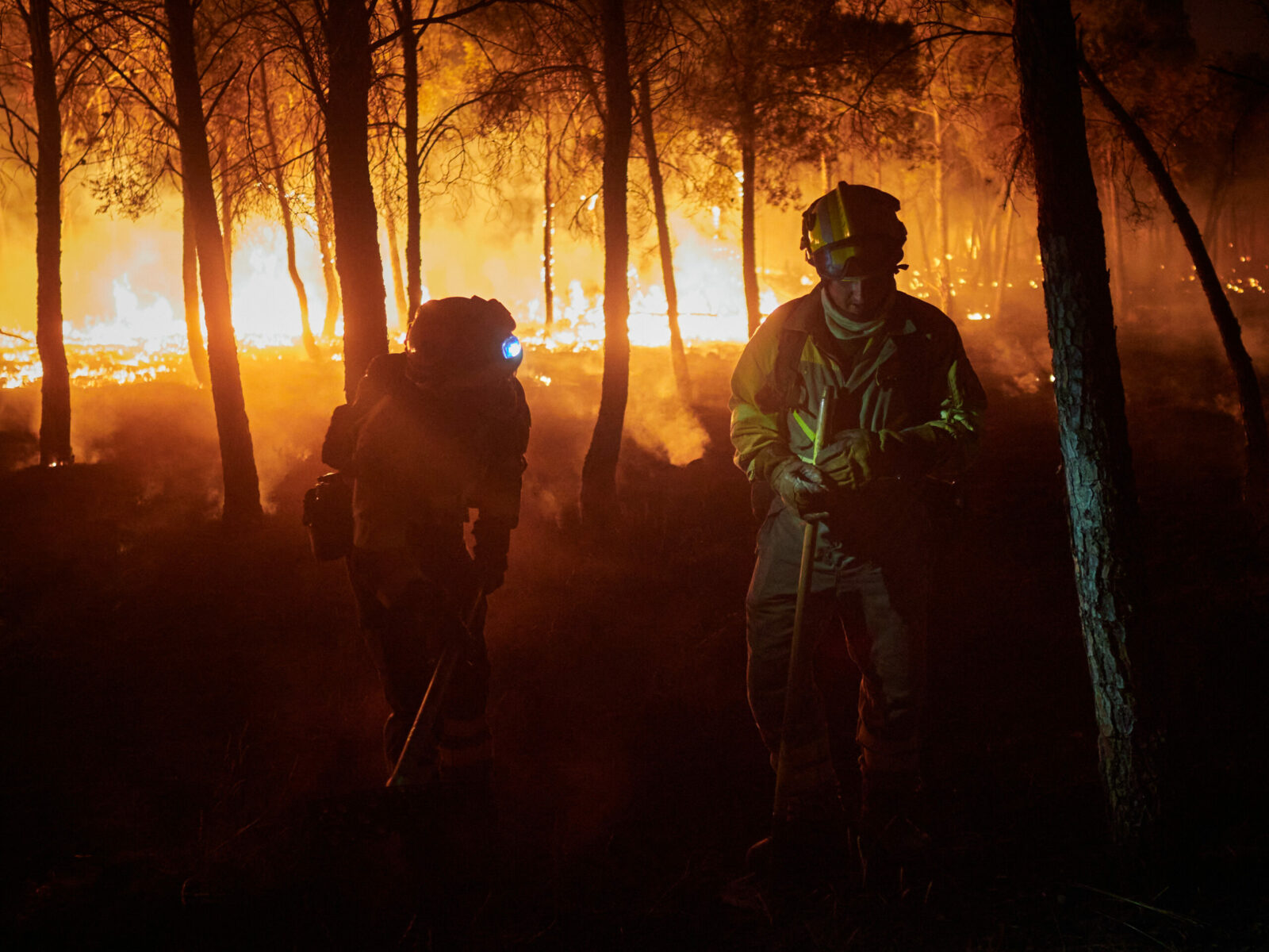 Atenționare de călătorie în SUA din cauza unor incendii de vegetație