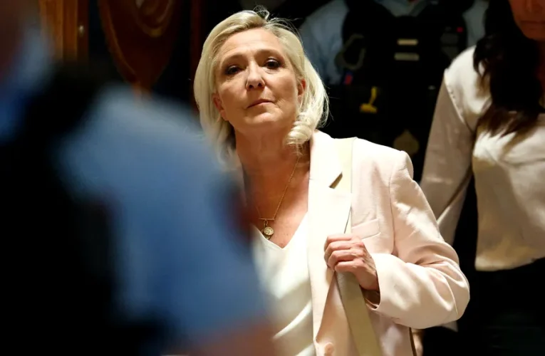 Când execută pedeapsa Marine Le Pen, dacă ajunge Președinte? Procurorul general al Curții de Apel din Paris dă peste cap prezidențialele din Franța