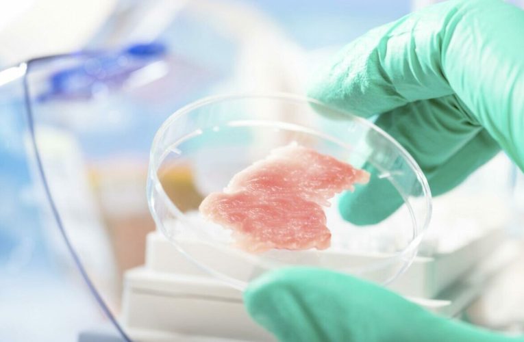 Carnea făcută în laborator, pe lista neagră. Parlamentarii discută interzicerea ei în România