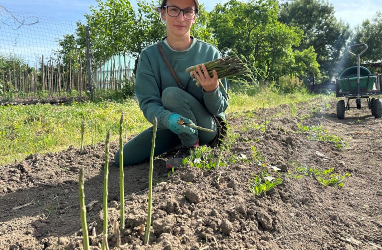 Cum a transformat o antreprenoare din România cultivarea sparanghelului într-o afacere de succes
