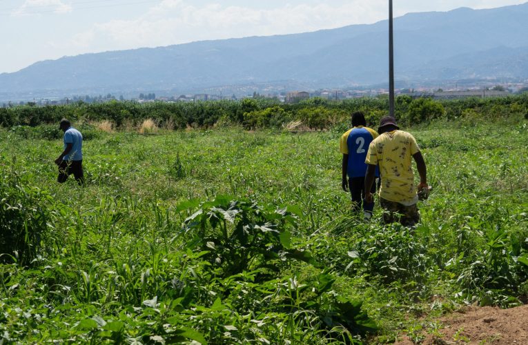 Fermier italian condamnat la 16 ani de închisoare după ce a lăsat un muncitor indian să moară