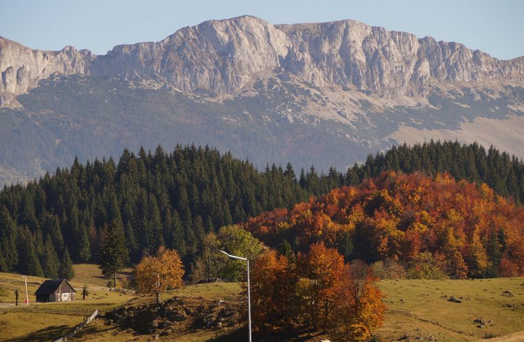 Gumuțeasca, o limbă veche de un secol, este încă vorbită într-un sat din România. Când este folosită de localnici