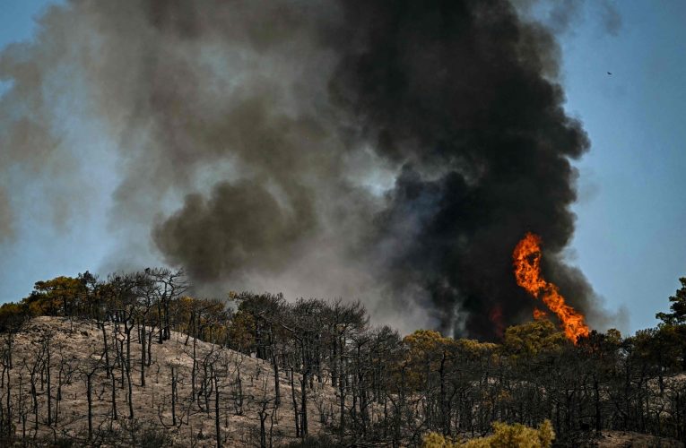 Incendiile din Spania și Franța, de două ori mai probabile din cauza schimbărilor climatice. Studiu: În Spania, riscul a crescut de 20 de ori