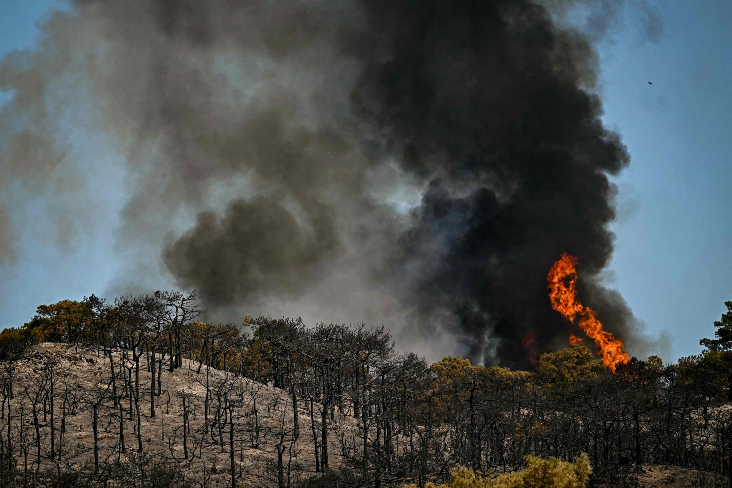 Incendiile din Spania și Franța, de două ori mai probabile din cauza schimbărilor climatice. Studiu: În Spania, riscul a crescut de 20 de ori