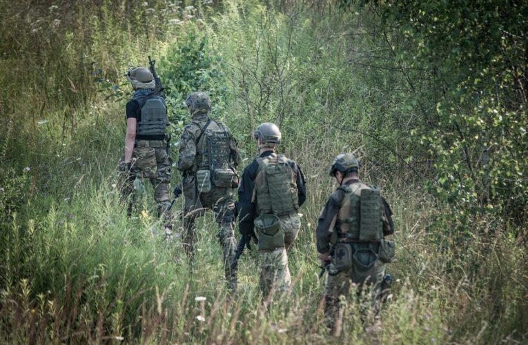 O țară care se învecinează cu Rusia anunță că vrea să colaboreze cu NATO