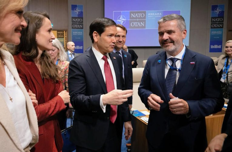 Oana Țoiu, discuții cu Marco Rubio și alți miniștri de Externe prezenți la Summit: Miza noastră, să creștem profilul de furnizor de securitate
