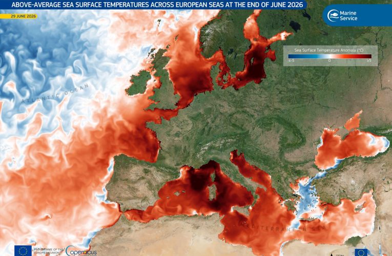 Oceanele ating temperaturi record. Ce înseamnă acest lucru pentru valurile de căldură din Europa