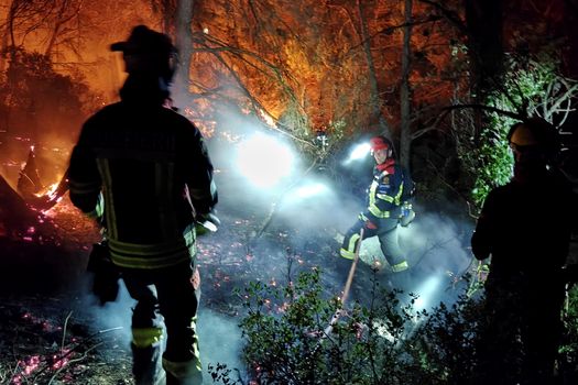 Pompierii români, prima intervenție în Franța | Au luptat cu un incendiu de pădure în sudul țării