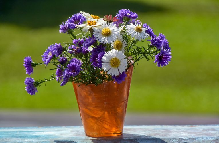 Poți prelungi viața florilor din vază cu ajutorul a două ingrediente comune în bucătărie