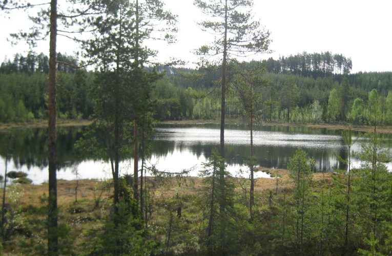 Secretul norvegienilor pentru o viață mai liniștită. Arta de a încetini ritmul