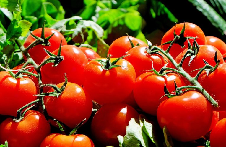 Un ingredient ieftin pe care îl ai deja în casă este folosit de grădinari pentru o recoltă bogată de roșii