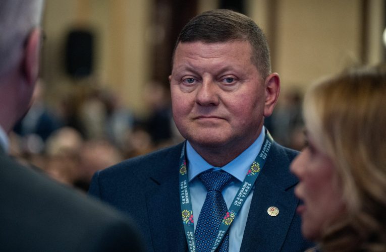 Unul dintre colaboratorii lui Zelenski a anunțat că va candida la alegerile prezidențiale din Ucraina