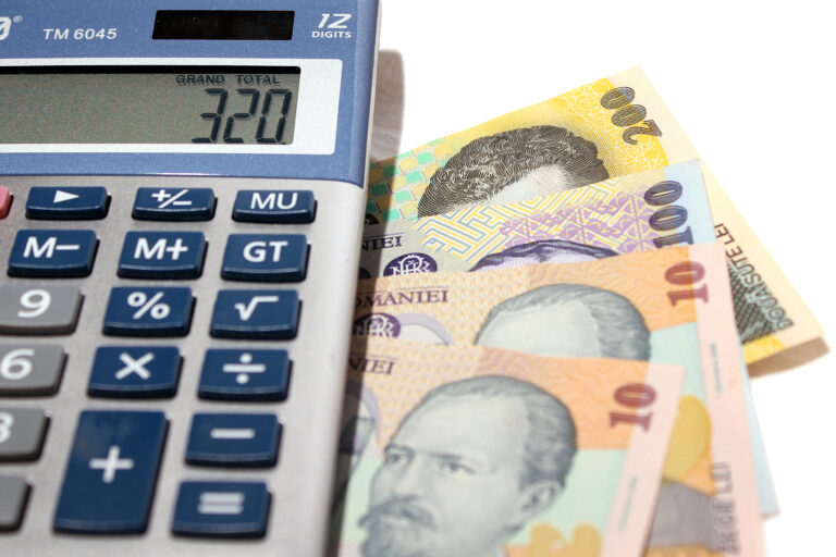 11.000 de lei pe lunÄ, suma necesarÄ pentru o familie cu doi copii ca sÄ trÄiascÄ decent în România. Ce spune ministrul Muncii