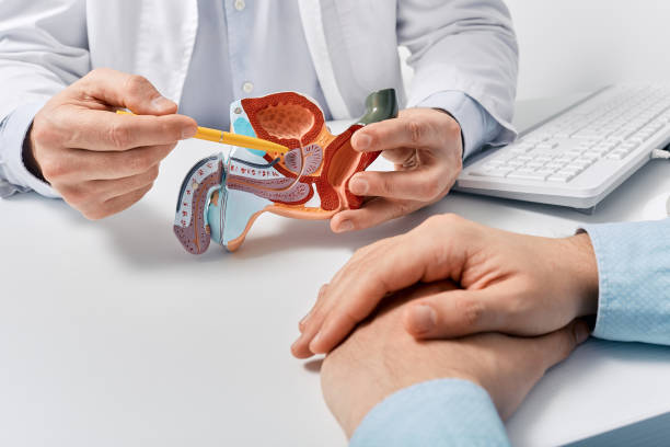 Descoperire importantÄ despre prostata mÄritÄ. CercetÄtorii au identificat un tip de celule care ar putea explica fenomenul
