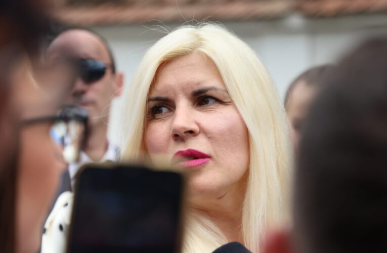 Elena Udrea: Cristela Georgescu ar putea candida la prezidenÈiale Èi ar avea susÈinerea alegÄtorilor soÈului ei