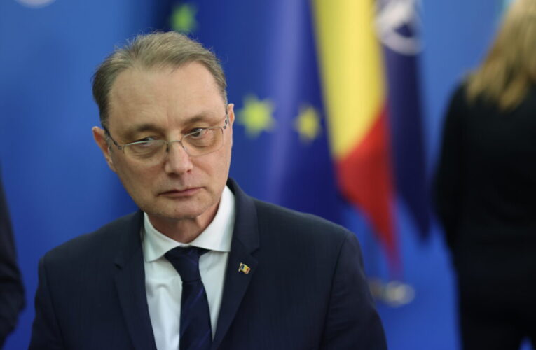 Guvernul aprobÄ donaÈia UE de 1,1 milioane de doze de vaccin pentru oi Èi capre. Luca Niculescu: âTrebuie sÄ fim alÄturi de crescÄtorii de animaleâ