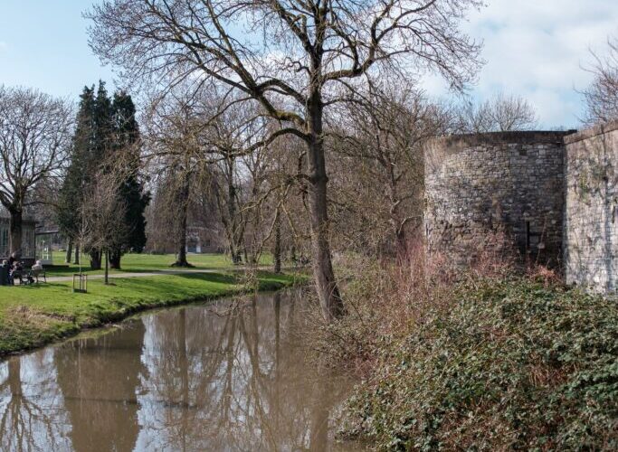 Se vinde un castel Ã®n care a luat cina regele Henric al VIII-lea. Are 30 de dormitoare Èi a apÄrut Ã®ntr-un serial celebru